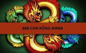 888 Con Rồng WW88 Với Độ Chính Xác Và Uy Tín 100%