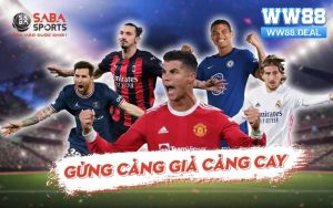 Sơ lược thông tin cơ bản về sảnh thể thao Saba Sports đình đám